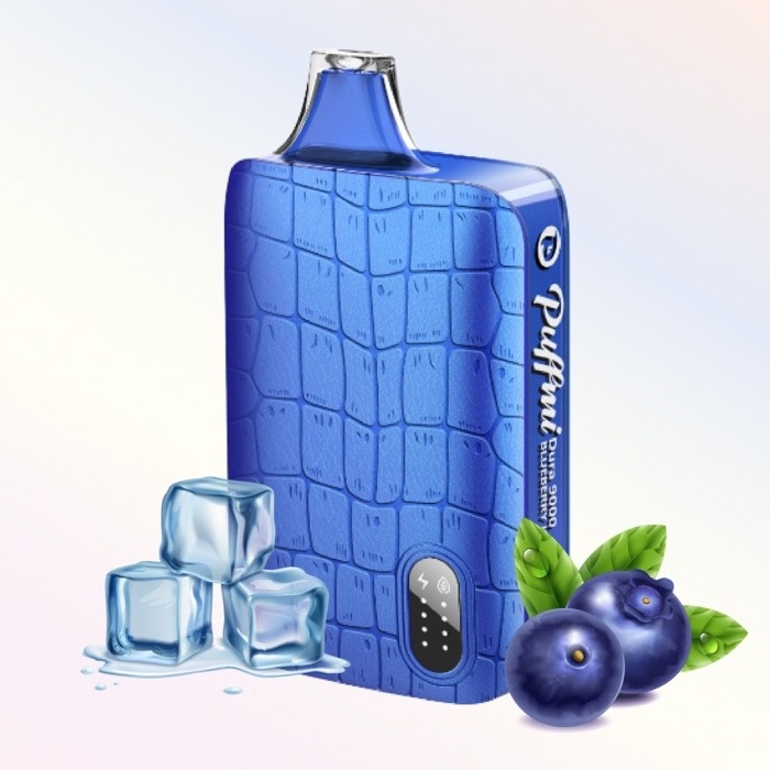 Одноразовый POD PUFFMI Dura 9000 - Blueberry Ice