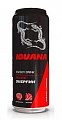 Энерг.напиток Iguana Красные ягоды 0,45л ж/б (М) Энерг.напиток Iguana Красные ягоды 0,45л ж/б (М)